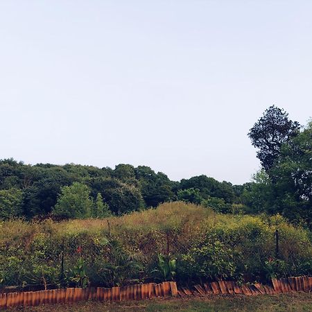 Laforesta By Mahabaleshwar Stay Buitenkant foto